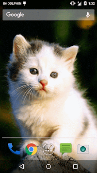 Cute Cat Live WallPaper for PC screenshot 3