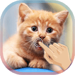 Cute Cat Live WallPaper APK