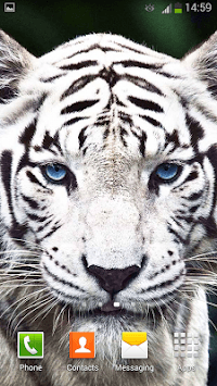 White Tiger Live Wallpaper for PC screenshot 1