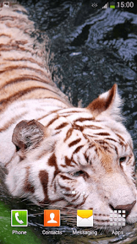 White Tiger Live Wallpaper for PC screenshot 3