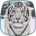 White Tiger Live Wallpaper APK