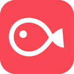 VLLO (a.k.a. Vimo) - Video editor & maker for PC