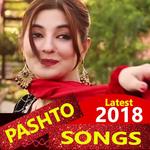 Pashto Video - Pashto Song, Dance, Comedy, DJ APK