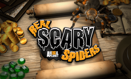 Real Scary Spiders for PC screenshot 1