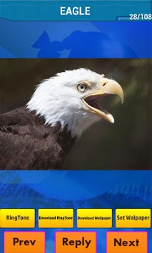 Real Animal Sounds Ringtones for PC screenshot 2