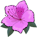 Flora for PC