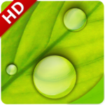 Rain Sounds: Relax and Sleep APK Rain Sounds: Relax and Sleep APK