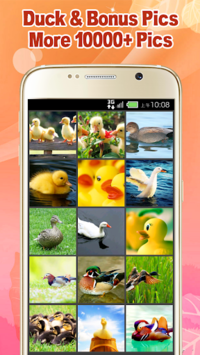 Duck Wallpaper for PC screenshot 1