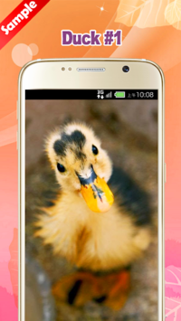 Duck Wallpaper for PC screenshot 2