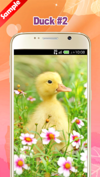 Duck Wallpaper for PC screenshot 3