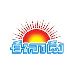 Eenadu News - Official App APK