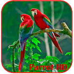 Parrots HD Live Wallpaper for PC