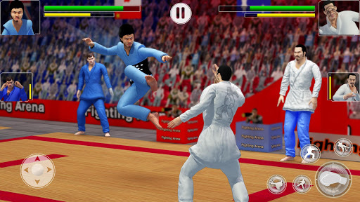 Tag Team Karate Fighting Tiger: World Kung Fu King for PC screenshot 1
