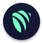 ArgoVPN APK
