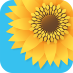 Gallery - Photo Gallery & Video Gallery for PC