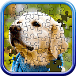 Jigsaw Puzzle Master APK