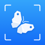 Picture Insect - Bug Identifier APK