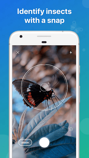Picture Insect - Bug Identifier for PC screenshot 1