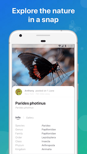 Picture Insect - Bug Identifier for PC screenshot 3