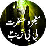 Mojza Bibi Zainab (A.S) APK Mojza Bibi Zainab (A.S) APK