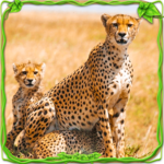 Furious Cheetah Family Simulator APK