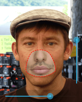 Face Paste for PC screenshot 1