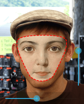 Face Paste for PC screenshot 3