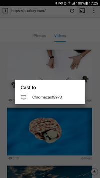 EZ Web Video Cast | Chromecast for PC screenshot 2