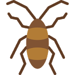 Anti Cockroach for PC