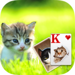Solitaire Little Cat Theme for PC