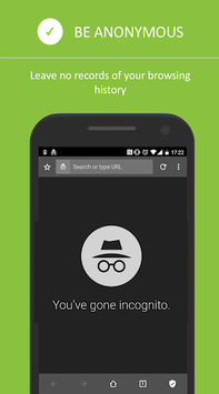 Private Browser & Incognito Browser for PC screenshot 2