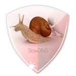 VPN Over DNS  Tunnel : SlowDNS APK
