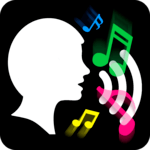 Add Music to Voice for PC
