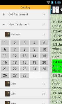 New Jerusalem Bible NJB Audio for PC screenshot 2