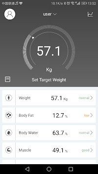 Fitbrick2 for PC screenshot 1