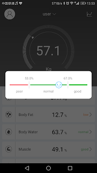 Fitbrick2 for PC screenshot 2