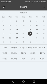 Fitbrick2 for PC screenshot 3