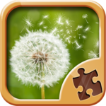 Magic Puzzle Games APK