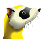 Ferret WiFi APK
