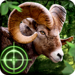 Wild Hunter 3D APK