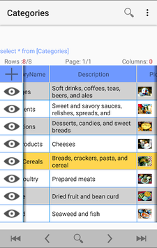 Viewer for MS Access Database (ACCDB - MDB - DB) for PC screenshot 1