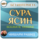 sourat yassin mishary alafasy APK