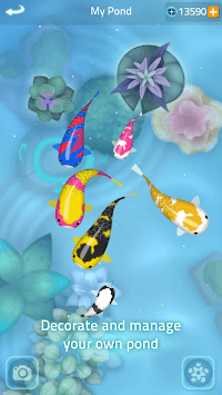 Zen Koi 2 for PC screenshot 3