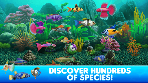 Fish Tycoon 2 Virtual Aquarium for PC screenshot 2