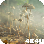 4K Mushrooms and Smoke Live Video Wallpaper APK