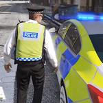 Border Police Patrol Duty Sim APK