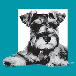 Maddie's Pet Assistant APK