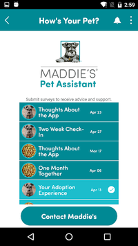 Maddie's Pet Assistant for PC screenshot 3