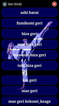 Karate WKF for PC screenshot 3