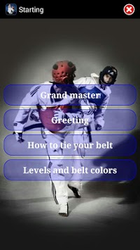 Taekwondo WTF for PC screenshot 3